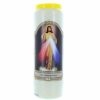 Palais du Rosaire Bougie Neuvaine | Lot De 20 Bougies De Neuvaine Christ Misericordieux 17,5Cm