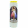 Palais du Rosaire Bougie Neuvaine | Lot De 12 Bougies De Neuvaine Christ Misericordieux 17,5Cm